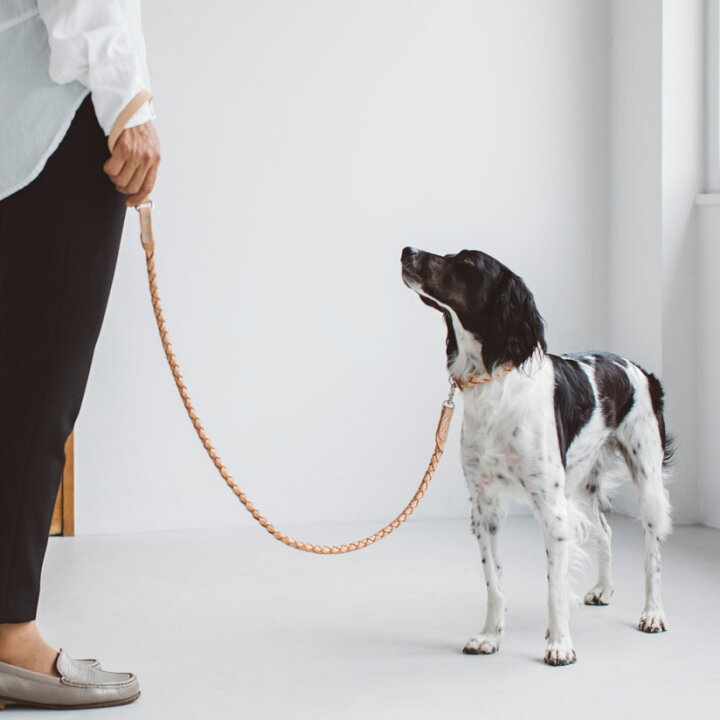 楽天市場 犬 リード オリジナル ヌメ ウーブン リング リード L サイズ小型犬用リード 中型犬用リード 大型犬用リード ペット用品 ファッション リード カジュアル スタンダードリード Free Stitch