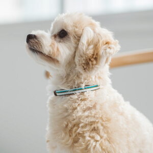 q  v ps[J[ yzт free stitch ps[ J[ c e  v@߂ā@ŏ@炵@炩@ʁ@q@ǂ@v[g@Mtgy|Cg20{z