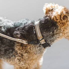 【犬　首輪】アンチオドール コンフォートカラー M サイズ　小型犬犬 首輪　犬首輪　小型犬　中型犬用　シンプルベーシック　犬の首輪　いぬ、くびわ