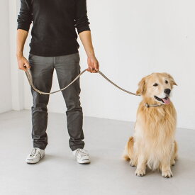 【犬　首輪】アンチオドール コンフォートリード L サイズ　小型犬犬 リード　犬首輪　小型犬　中型犬用　シンプルベーシック　犬のリード　いぬ