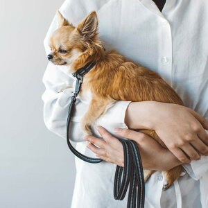 y@ցzA`Ih[ RtH[g[h S TCY@^ [h@ց@^@^p@Vvx[VbN@̃[h@