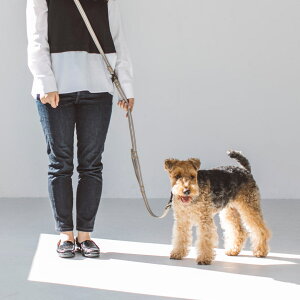 y@ցzA`Ih[ RtH[g }`p[pX [h M TCY@^ [h@ց@^@^p@Vvx[VbN@̃[h@