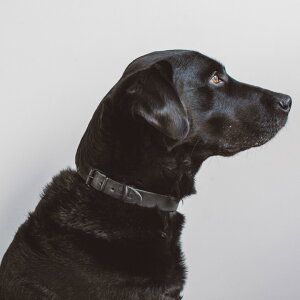 y ցzICU[ uCh J[ 4L TCY@ց@@v@^@^@ps[@킢@J[@ʁ@т@Č@x[VbN