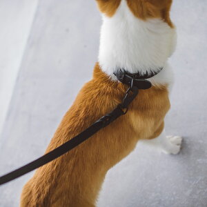 y ցzICU[ uCh J[ LL TCY@ց@@v@^@^@ps[@킢@J[@ʁ@т@Č@x[VbN