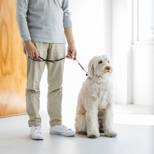 y@[hzICU[ uCh V[g[h@[h@v@V[g[h@^@@Ђ@p@v@ʁ@@U[@ybg@U@ł