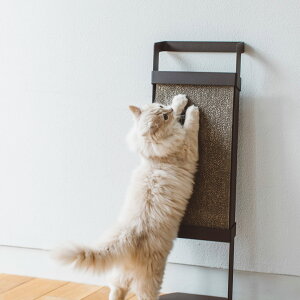 pecolo Cat Scratcher@L@܂Ƃ @Vv