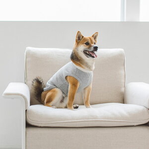 y zyhbOEFAzwB W[W XEFbg ^N c[gS / M / L / LL / 3L@@Vv@^N@W[W@XEFbg@ʁ@m@EFA@hbO