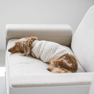 y  mzhbOEFA@@@@hbO@EFA@ybg@q@Z[^[@jbg@킢@I[KjbN@Vv@IeK@Y@{@@ł@s