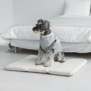 y@xbhzp@ʁ@hbO@dog@Vv@@{@ybgp@ybg@xbh@}bg@􂦂@@ӂӂ@dogbed@΂@L[@L[obO@^@