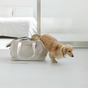 y@L[zXNGA g[g l \bh S TCY L L[P[X L[obO bN  ^ ^ Vv A d h z y  ł