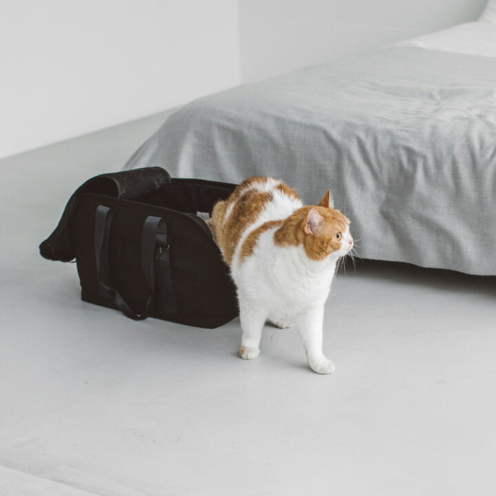 楽天市場】【猫 キャリー】猫 キャリーバッグ おしゃれ かわいい 