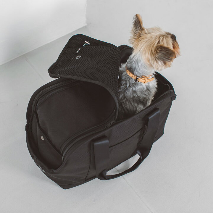 楽天市場】【犬用 キャリー】チワワ 小型犬 犬 ペット キャリーバッグ 