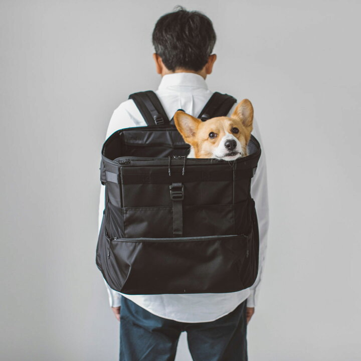楽天市場】【犬 キャリー】犬用リュック 前抱き アウトドア 小型犬 
