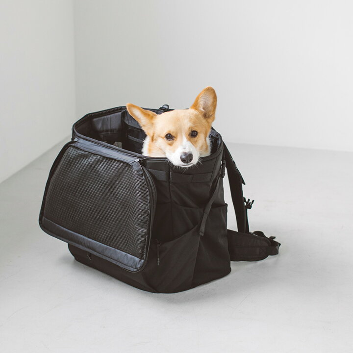 楽天市場】【犬猫 キャリー】犬用リュック 前抱き アウトドア 小型犬 