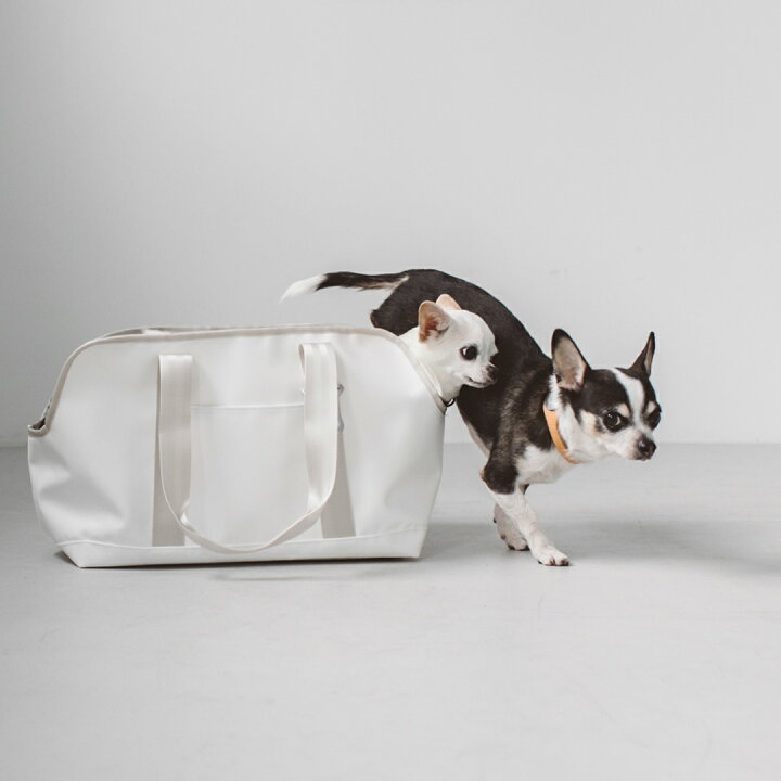 楽天市場】【犬 キャリーバッグ】スクエア トート ターポリン LL 