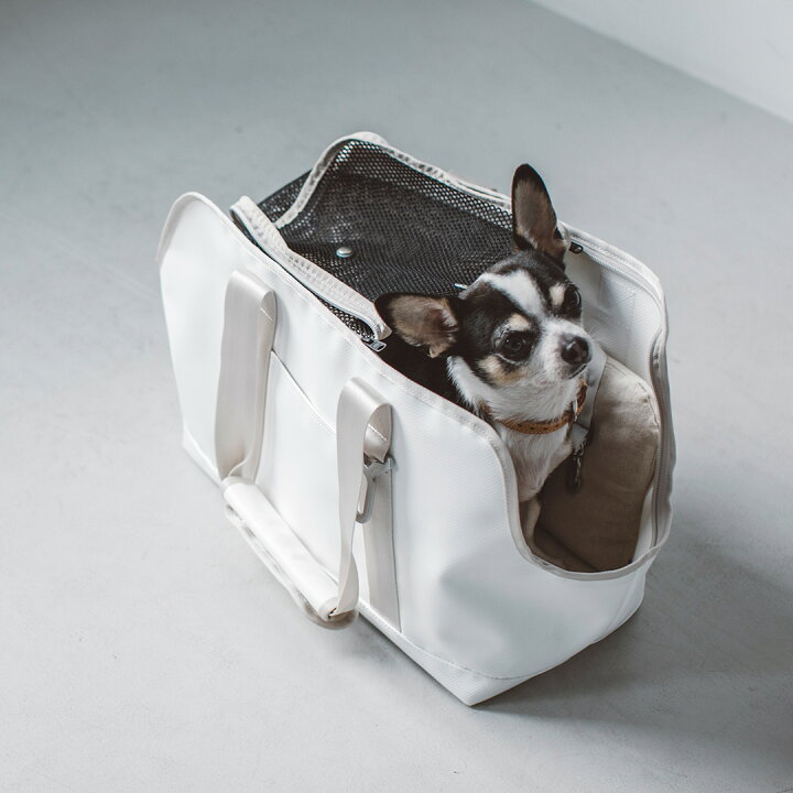 楽天市場】【犬 キャリー】スクエア トート ターポリン S サイズ 