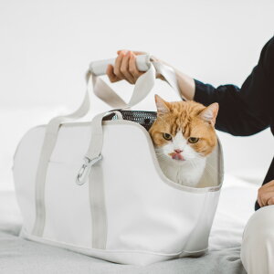 【猫 キャリー】スクエア トート ターポリン Mサイズ 猫用 猫 ねこ ネコ キャリーバッグ キャリー シンプル おしゃれ 猫用 ペット用 ペット 動物 かばん 鞄 クレート