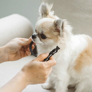 q@ tNeBu ps[J[ yzт@free stitch@ps[@J[@c@e@ v@߂ā@ŏ@炵@v[g@Mtg@lC@@Vv@