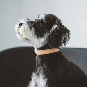 y  vzIWi k \tg J[ S TCY ց@̎ց@^@v@v@@{v@U[  킢@@Vv@{@`@gCv[h