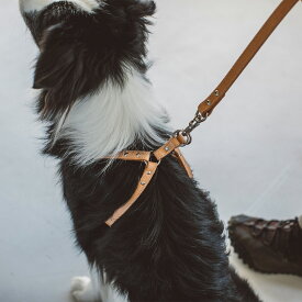 【犬 ハーネス】ヌメリングワンタッチハーネス 55中型犬 大型犬 ヌメ革 日本製