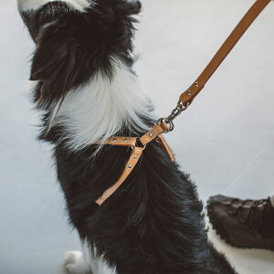 y n[lXzkO^b`n[lX v 55@IWi@^`^p@vi@@Vv@