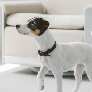 y ցzICU[ uCh J[ M TCY@ց@@v@^@^@ps[@킢@J[@ʁ@т@Č@x[VbN