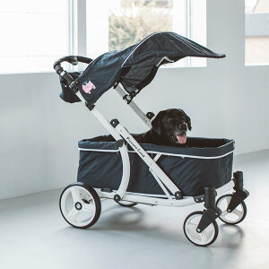 ピッコロカーネ CREA クレア