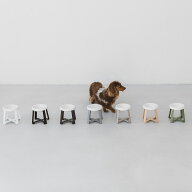 pecolo Food Stand S(Tall) 陶器浅型フードボウルスタンド 犬　フードボウル ペコロ　ぺころ