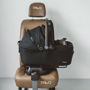 y@J[gzTAVO Maeve Cu { x[X 6RE6X@hbO@V[g@ybg@ԁ@Œ@@ybgJ[@Vv@ځ@^{@@ʁ@J[ANZT[@`ChV[g@