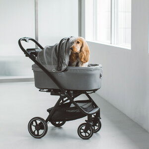 y@J[gzTAVO Maeve Cu { Roscoe XR[ { x[X 7R(MR)E7X@hbO@V[g@ybg@ԁ@@Vv@ځ@^{@@ʁ@S@p@ł@L@˂@L