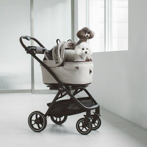 y@J[gzTAVO Maeve Cu { Roscoe XR[ { x[X 5RE5X@hbO@V[g@ybg@ԁ@@Vv@ځ@^{@@ʁ@S@p@ł@L@˂@Lb