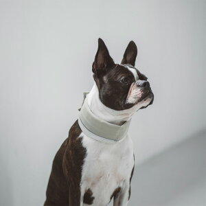 y zyhbOEFAzAEghA lbN N[[ S / M @@Vc@@Vv@ʁ@m@EFA@hbO@{@Vv@@m@hbOEFA@ł