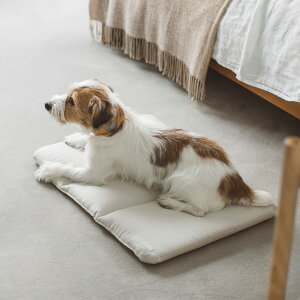 y@xbhzp@ʁ@hbO@dog@Vv@@{@ybgp@ybg@xbh@}bg@􂦂@@ӂӂ@dogbed@΂@L[@L[obO@^@