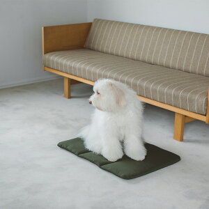 y@xbhzp@ʁ@hbO@dog@Vv@@{@ybgp@ybg@xbh@}bg@􂦂@@ӂӂ@dogbed@΂@L[@L[obO@^@