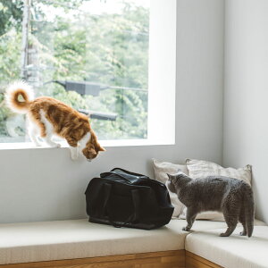 yL@L[zXNGA g[g uh \bh MTCY