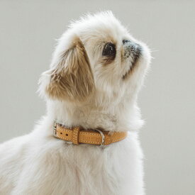 【犬 首輪】オリジナル ヌメ カラー M サイズ犬 首輪 おしゃれ 革 かわいい 小型犬 犬首輪 犬の首輪 いぬ くびわ レザー シンプル　ベーシック　首輪　日本製　ペット　ヌメ　皮　シンプル　おしゃれ　小型犬　チワワ　トイプードル　マルプー