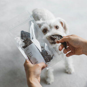 n o[W[L[ 50g@L@hbO@Lbg@˂@ʁ@@g[c@Y@S@n@ᎉb@_CGbg@W[L[@t[YhC@gbsO@g[jO