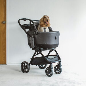 y@J[gzTAVO Maeve iso Wind Cu AC\ EBh {XR[ 6XISOFIXŒ胉b` x[X̌^@hbO@J[V[g@ybg@ԁ@@ځ@^{@@ʁ@@@