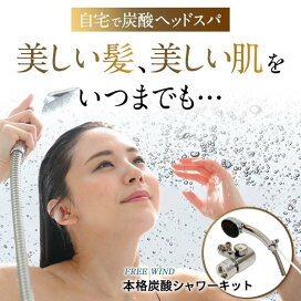 楽天市場】 炭酸製作商品 : FREE WIND