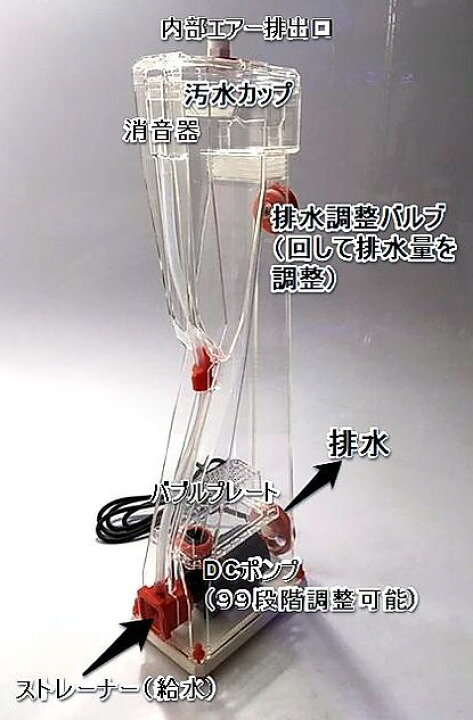 楽天市場】プロテインスキマー FREE WIND社製 フリーウインド 