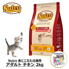 キャットフード 猫 ごはん ドライ かりかり スペシャルケア 鳥 鶏 ニュートロ Nutro ナチュラルチョイス 食にこだわる猫用 アダルト チキン 2kg