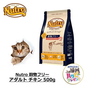 キャットフード 猫 ごはん ドライ かりかり スペシャルケア 鳥 鶏 ニュートロ Nutro ナチュラルチョイス 穀物フリー アダルト チキン 500g