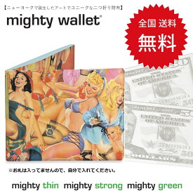 財布 二つ折り カード入れ お札入れ 薄い 軽い さいふ mighty wallet マイティウォレット ピンナップス DM-AC-BB1