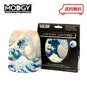 y50ȏOFFIz Mtg CeA eCNAEg fBi[  MODGY bW[ ~i[^u_ސ쉫gv2Zbg