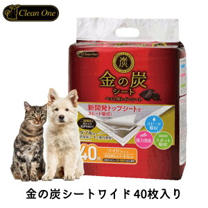 N[ ̒YV[g Ch 40 ybgV[c Ch ^ L Y ybg V[g V[c ybgV[g ybgp  L gC V[YCVn FREEBIRD t[o[h