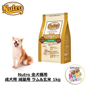 ドッグフード 犬 ごはん ドライ かりかり ダイエット ニュートロ Nutro ナチュラルチョイス 全犬種用 成犬用 減量用 ラム&玄米 1kg
