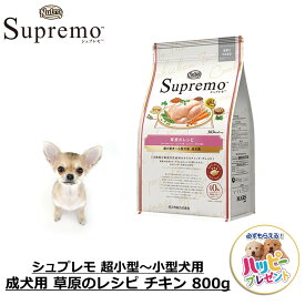 ドッグフード 犬 ごはん ドライ かりかり 穀物フリー ニュートロ Nutro Supremo シュプレモ 超小型犬用 小型犬用 成犬用 草原のレシピ チキン 800g