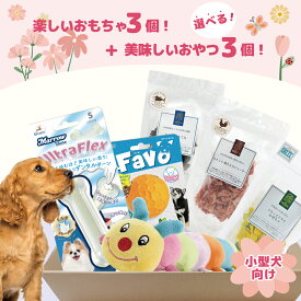 犬おもちゃ 犬おやつ 犬 おもちゃ おやつ クリスマス 国産 無添加 フリーズドライ かぼちゃ 肉 魚 ボーロ 送料無料 玩具 小型犬 噛む かわいい ぬいぐるみ ボール ボーン プレゼント ギフト おもちゃおやつ詰め合わせBOX おもちゃボックス