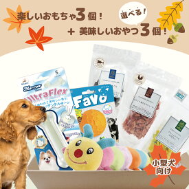 犬おもちゃ 犬おやつ 犬 おもちゃ おやつ 国産 無添加 フリーズドライ かぼちゃ 肉 魚 ボーロ 送料無料 玩具 小型犬 噛む かわいい ぬいぐるみ ボール ボーン プレゼント ギフト おもちゃおやつ詰め合わせBOX おもちゃボックス