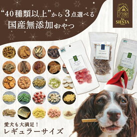 犬 おやつ クリスマス プレゼント 無添加 国産 詰め合わせ レギュラーサイズ 選べる トリーツ 送料無料 ラッピング 北海道産 フリーズドライ ビスケット ジャーキー 野菜 フルーツ 鶏 豚 魚 鹿肉 低カロリー 硬い 柔らかい 3種類選べるおやつセット FREEBIRD フリーバード